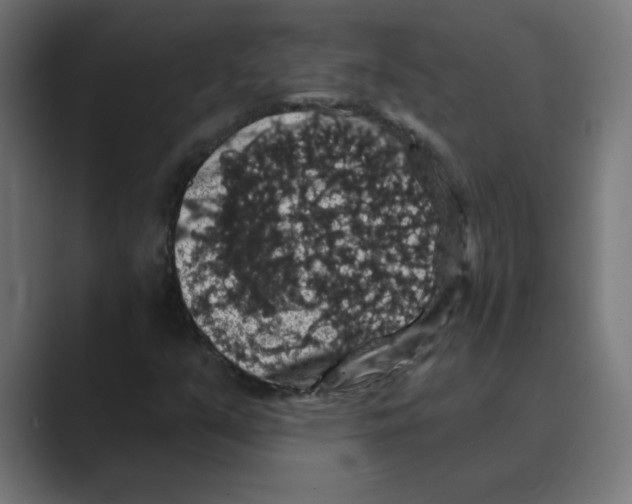 X0000088431351200706191226
