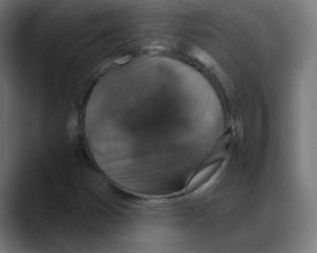 X0000088431353200706191226