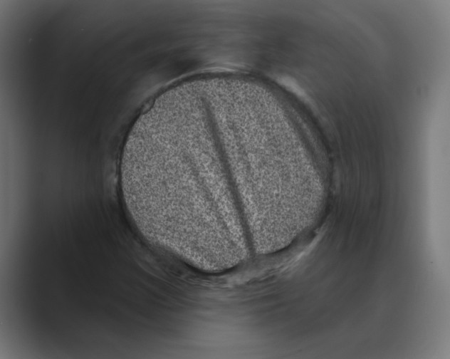 X0000088431355200706191226
