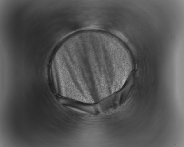 X0000088431356200706191226