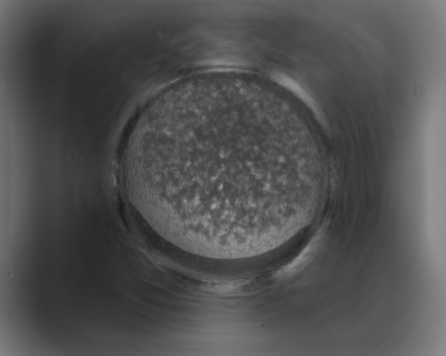 X0000088431357200706191226