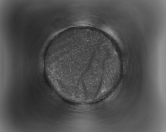 X0000088431358200706191226