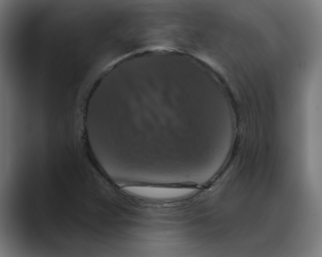 X0000088431359200706191226