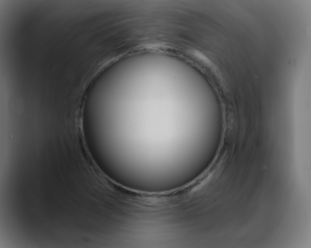 X0000088431361200706191226
