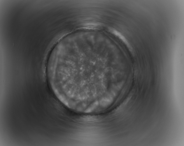 X0000088431362200706191226