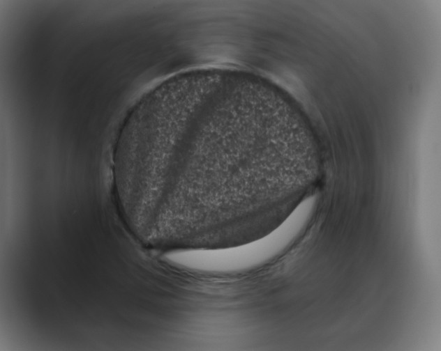 X0000088431363200706191226