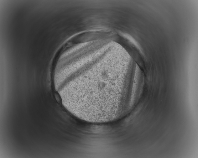 X0000088431364200706191226