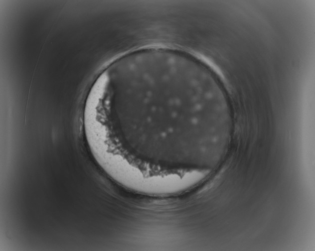 X0000088431367200706191226