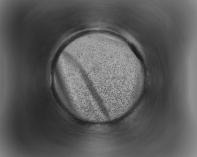 X0000088431368200706191226