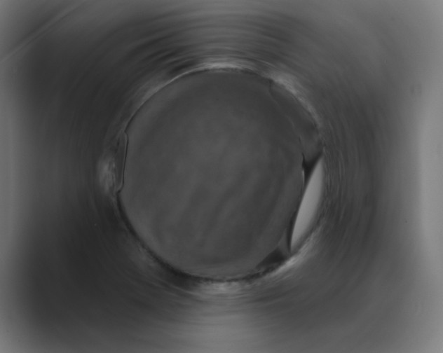 X0000088431369200706191226
