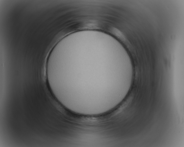 X0000088431370200706191226