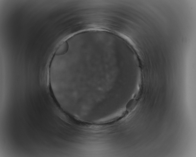 X0000088431371200706191226