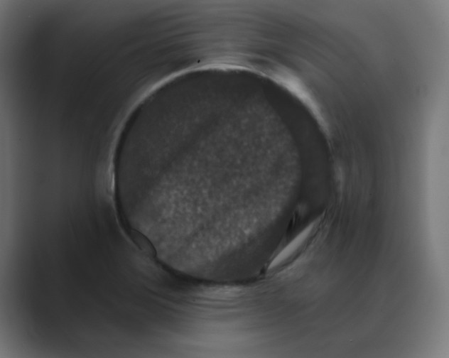 X0000088431372200706191226