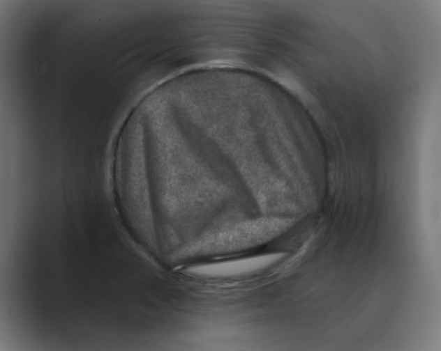 X0000088431374200706191226
