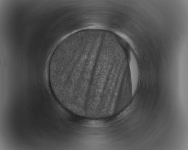 X0000088431375200706191226