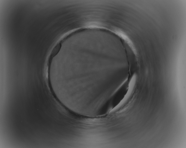 X0000088431376200706191226