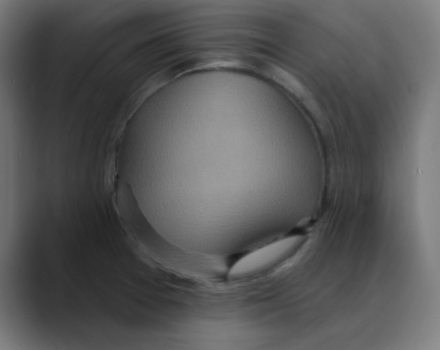 X0000088431377200706191226