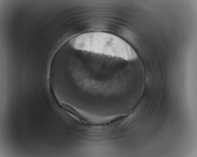 X0000088431378200706191226
