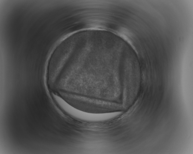 X0000088431379200706191226