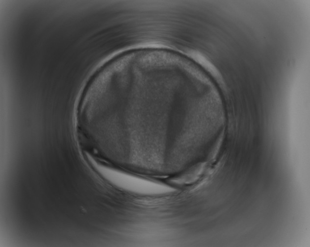 X0000088431380200706191226