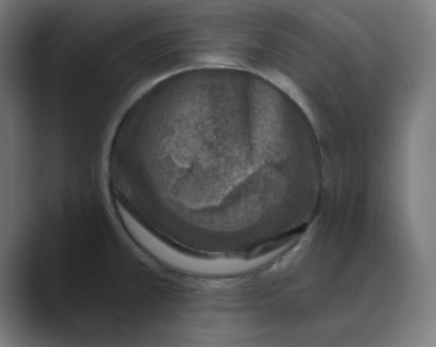 X0000088431381200706191226