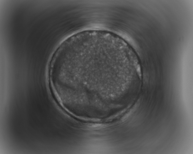 X0000088431382200706191226