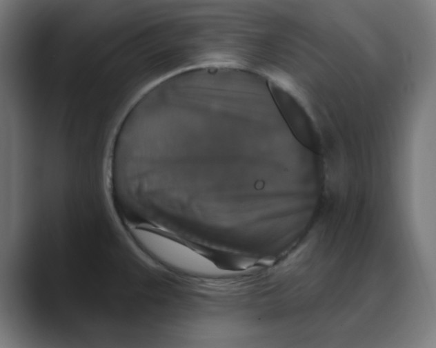 X0000088431383200706191226