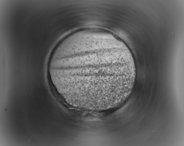 X0000088431384200706191226