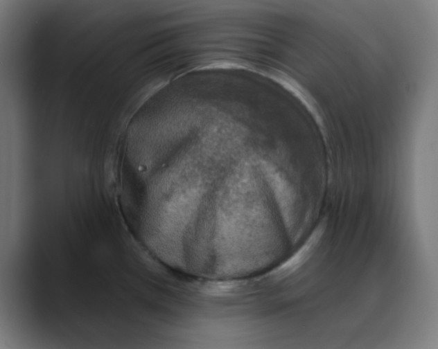 X0000088431385200706191226