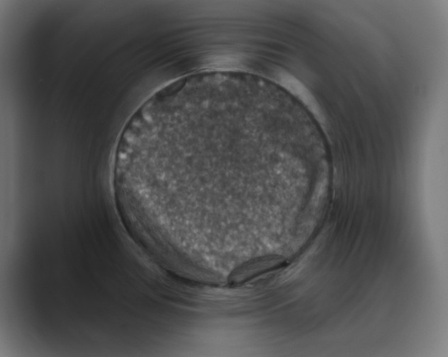 X0000088431386200706191226