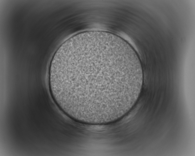X0000088431387200706191226