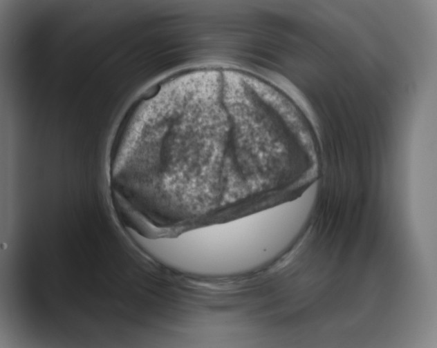 X0000088431388200706191226