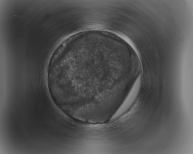 X0000088431389200706191226