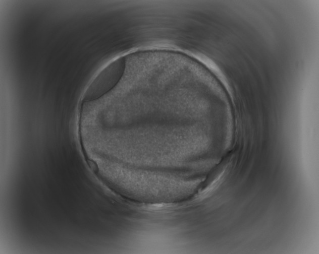 X0000088431390200706191226
