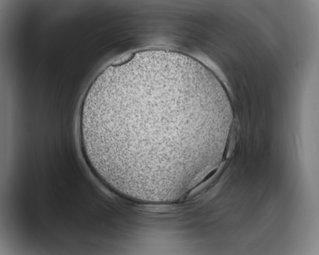 X0000088431391200706191226