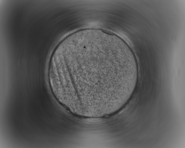 X0000088431392200706191226