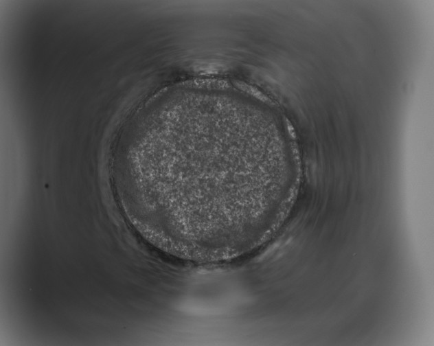 X0000088431393200706191225