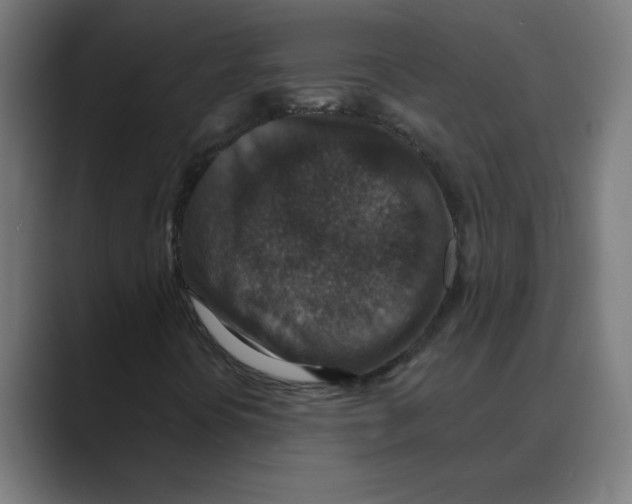 X0000088431394200706191225