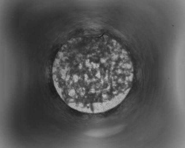 X0000088431397200706191225