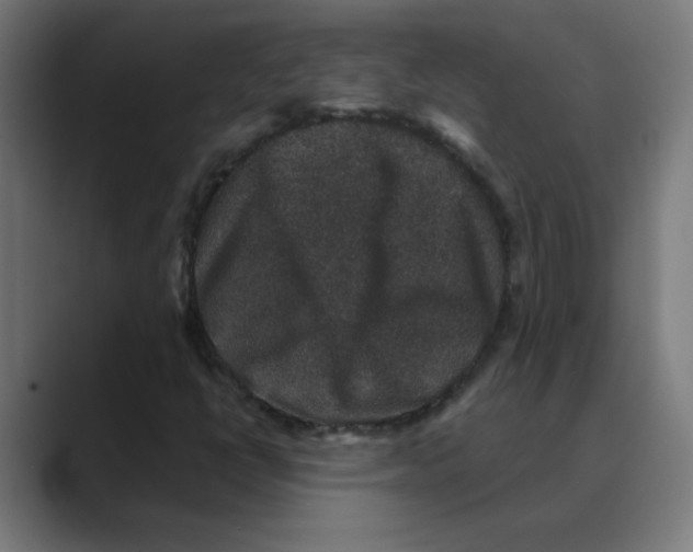 X0000088431398200706191225