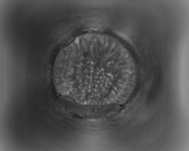 X0000088431399200706191225