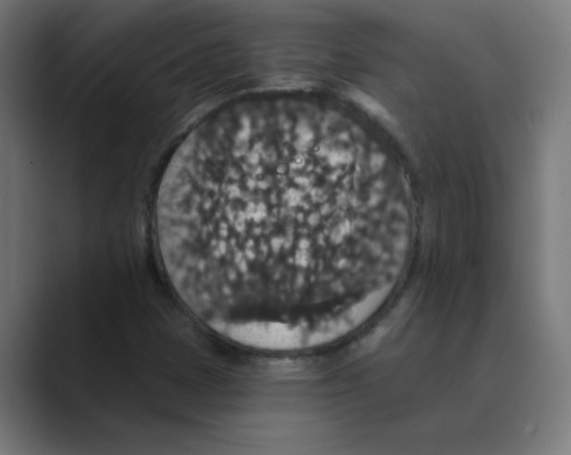 X0000088431401200706191225
