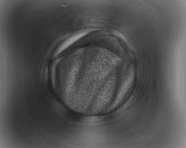 X0000088431402200706191225