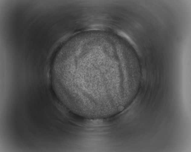 X0000088431403200706191225