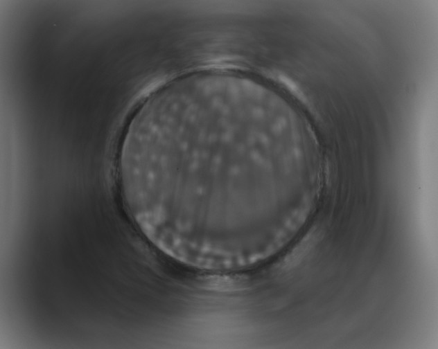 X0000088431405200706191225