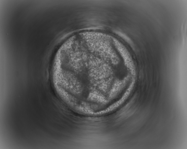 X0000088431407200706191225
