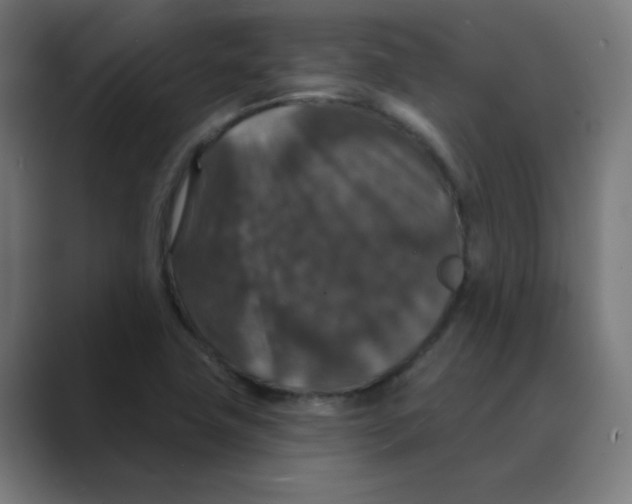 X0000088431411200706191225