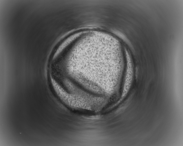 X0000088431412200706191225