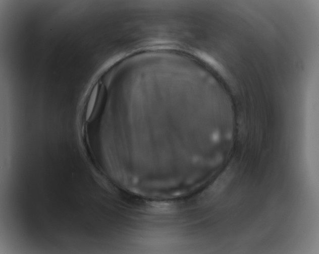 X0000088431413200706191226