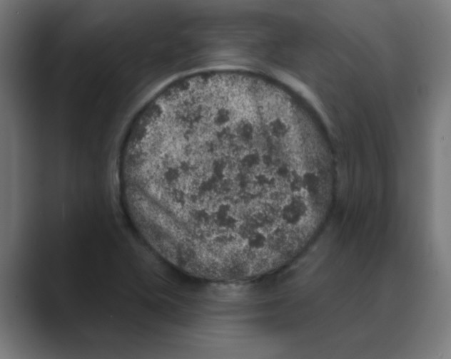 X0000088431415200706191226